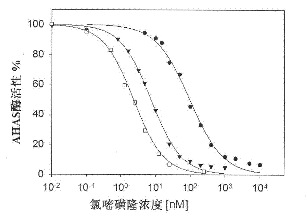 Application of AHAS (acetohydroxyacid synthase) inhibitor compound in preparing antifungal medicament