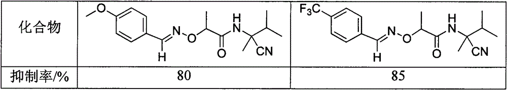 1-(1,2,4-triazolyl)ketoxime ether-acylamide and application thereof