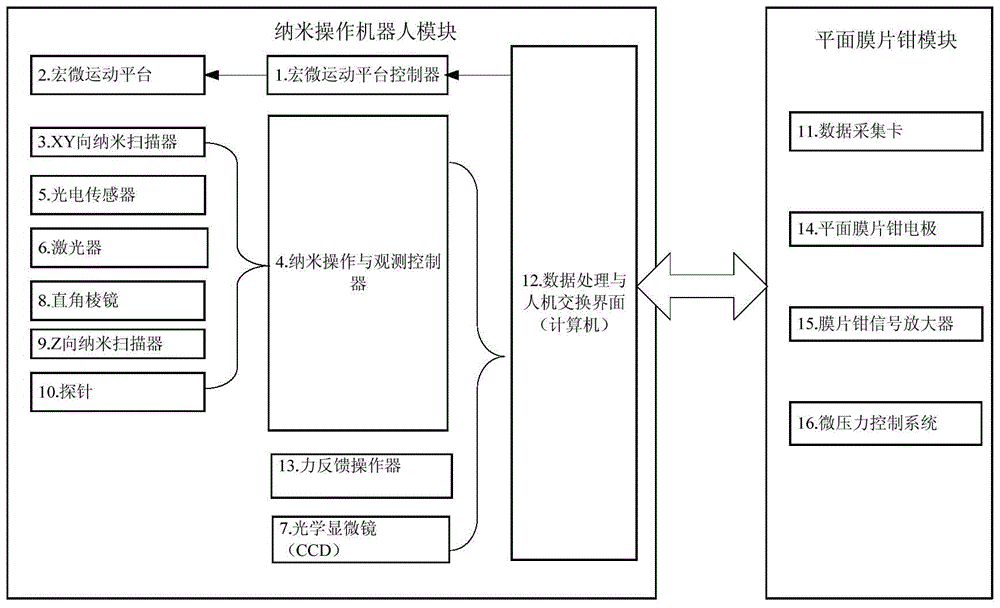 A cell physiological information detection system and detection method thereof