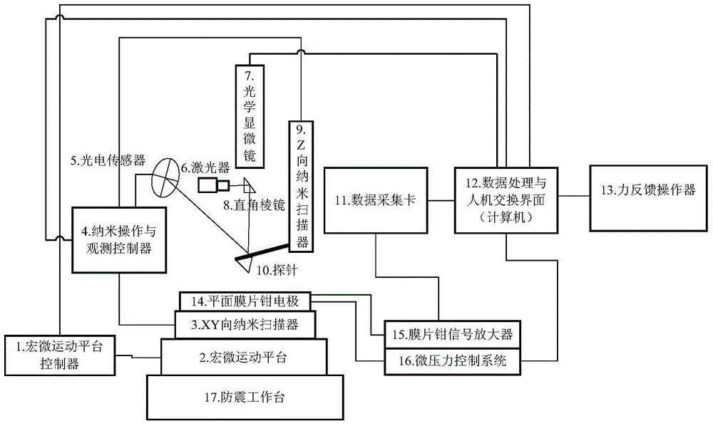 A cell physiological information detection system and detection method thereof