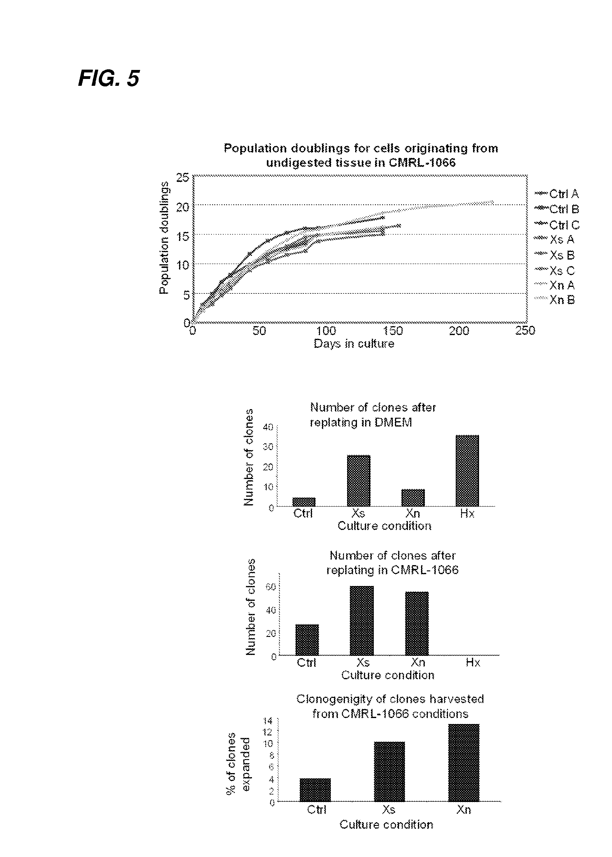 Methods for producing pancreatic precursor cells and uses thereof