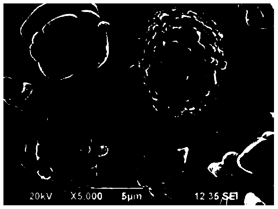 High-nickel ternary positive electrode material with high electrical property consistency, preparation method thereof and application thereof