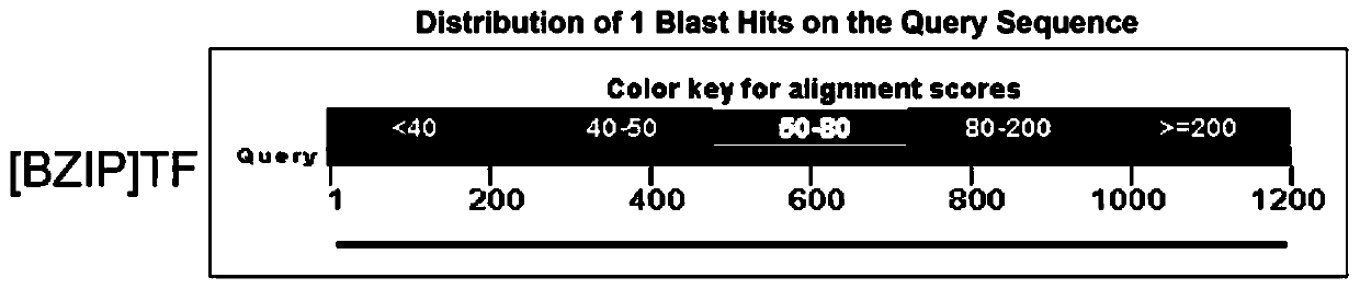 A dna sequence and its application