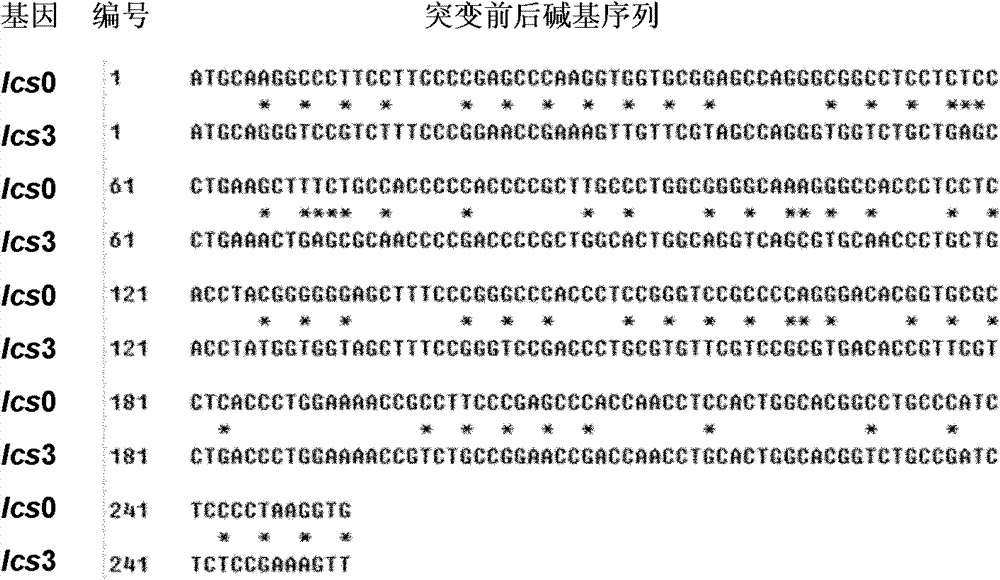 Method for realizing over expression of thermostable laccase gene through location transformation