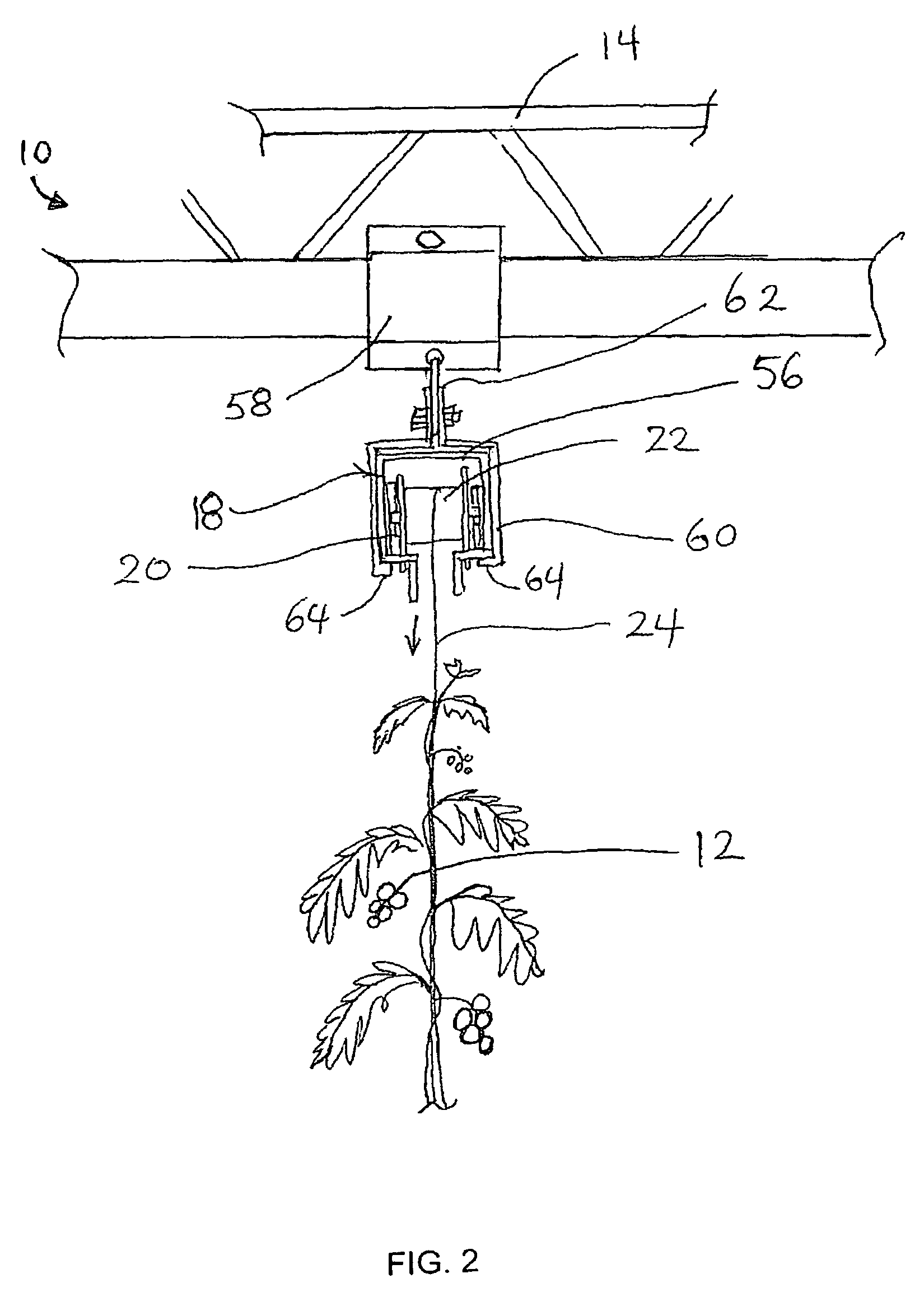 Vine crop supporting system