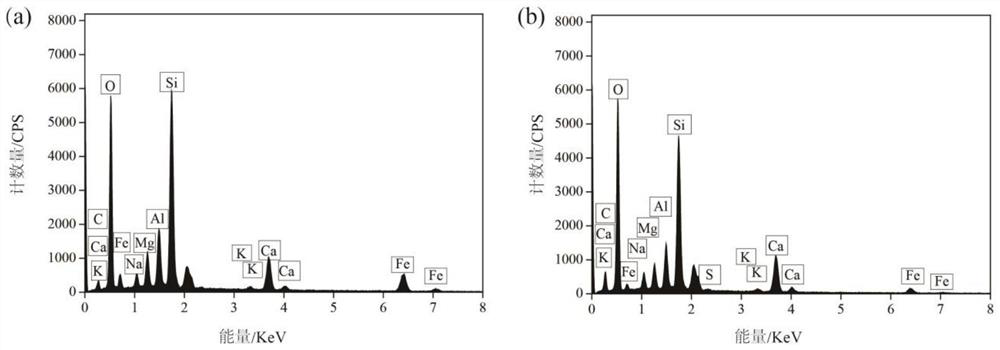 Porous biological filler for purifying polluted seawater as well as preparation method and application of porous biological filler