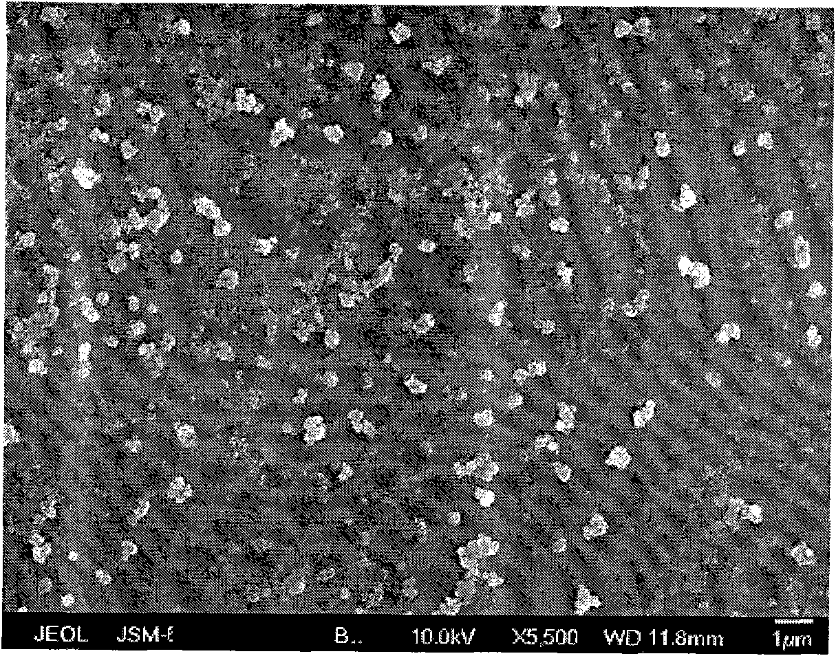 Preparation method of stable double-particle system electronic ink display solution