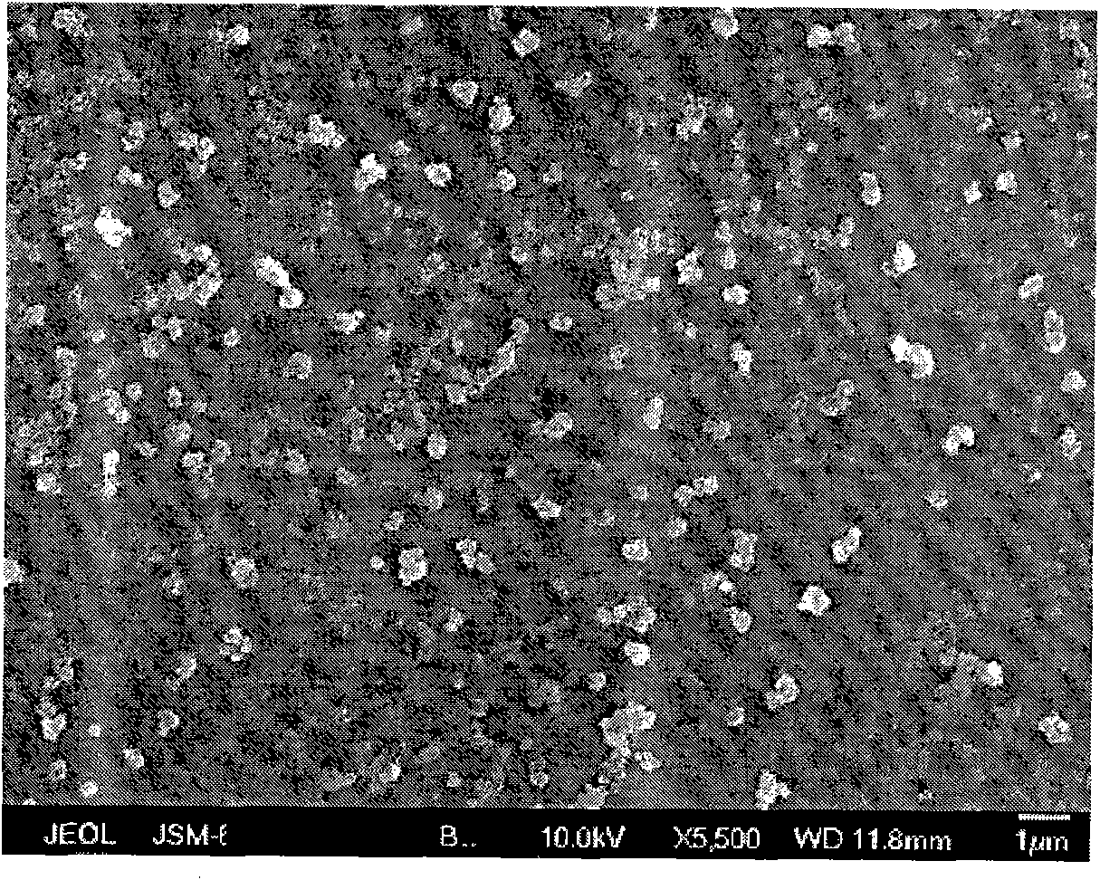 Preparation method of stable double-particle system electronic ink display solution