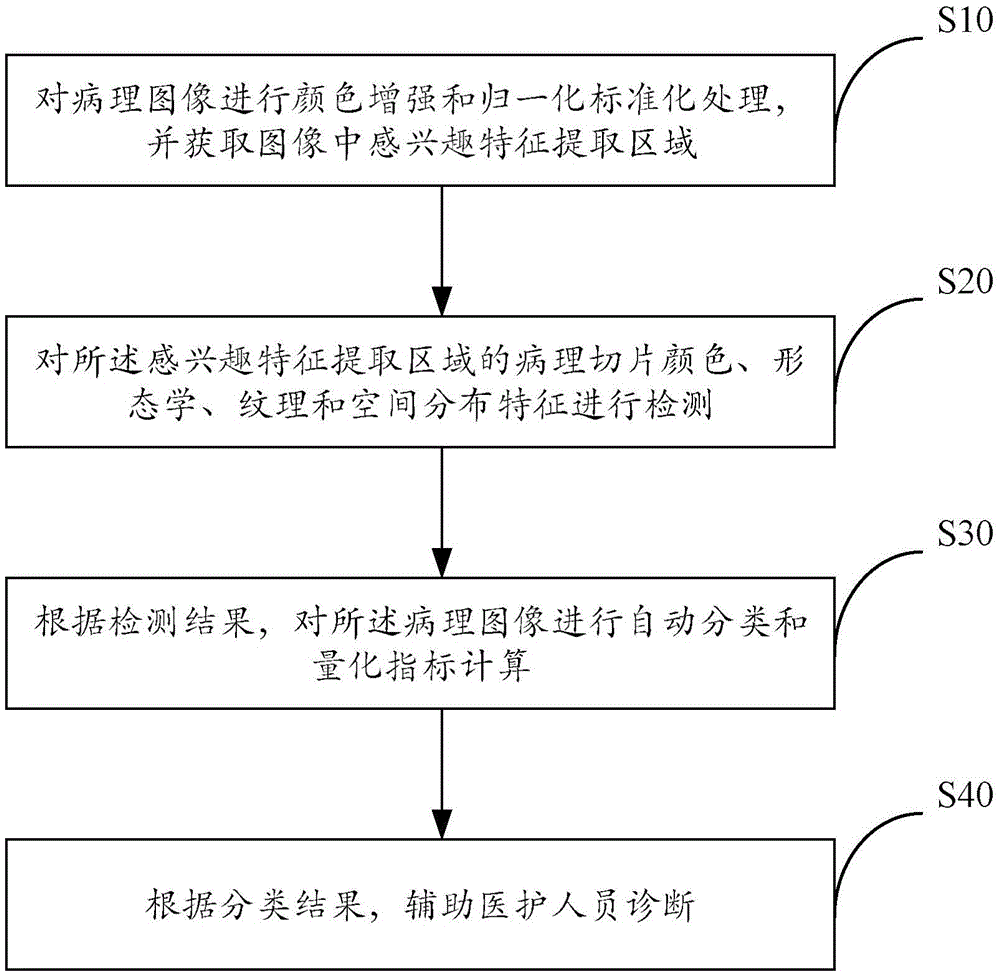 Method and system for automatically analyzing panoramic image of digital pathological section