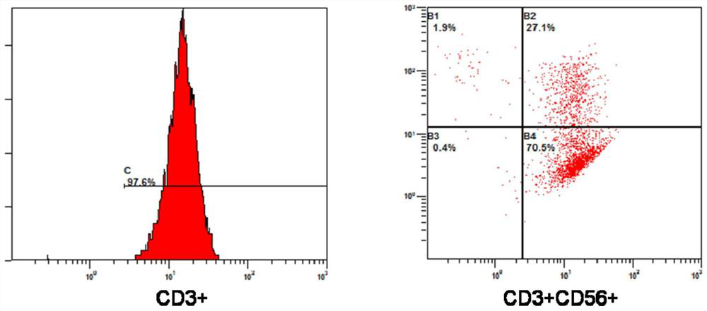 Coding gene of anti-B7-H3 chimeric antigen receptor, preparation method thereof, plasmid with gene, immune cell and application thereof