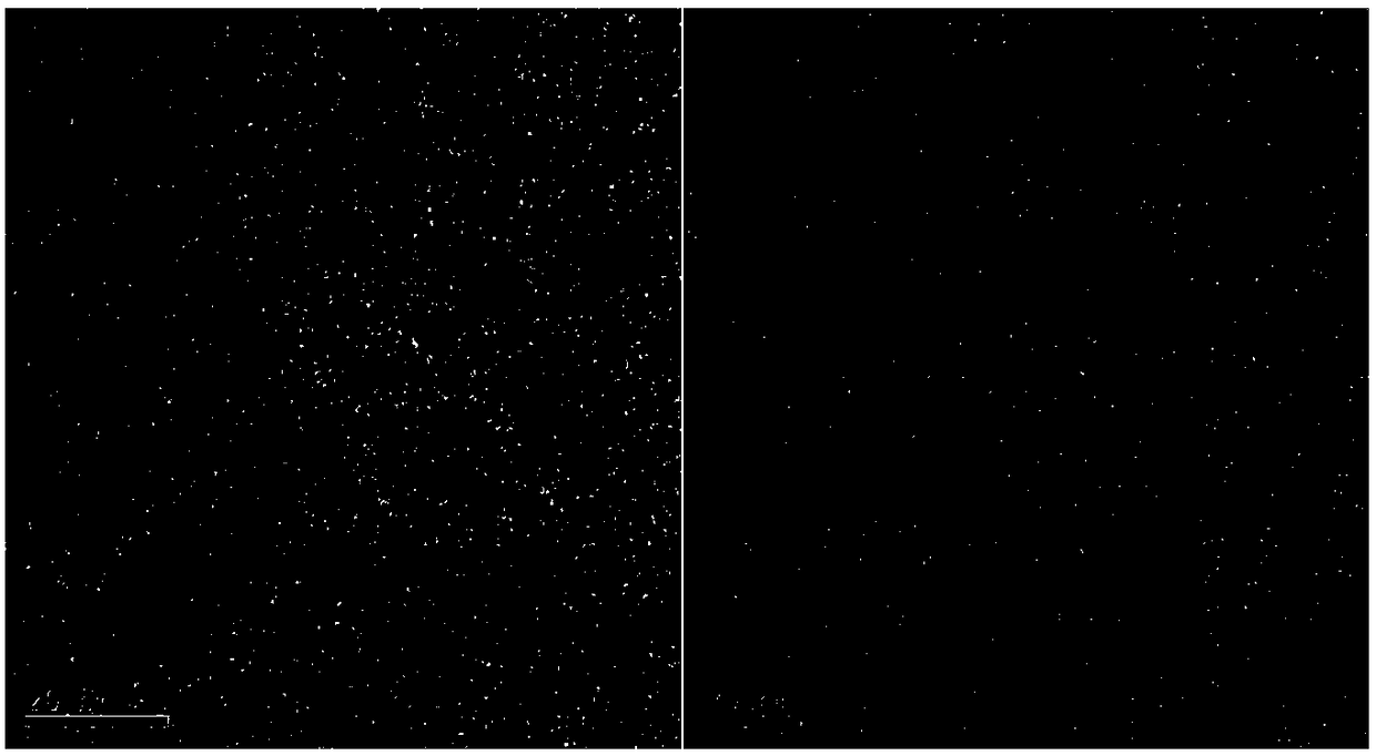 Europium ion-doped carbon quantum dot and preparation method thereof