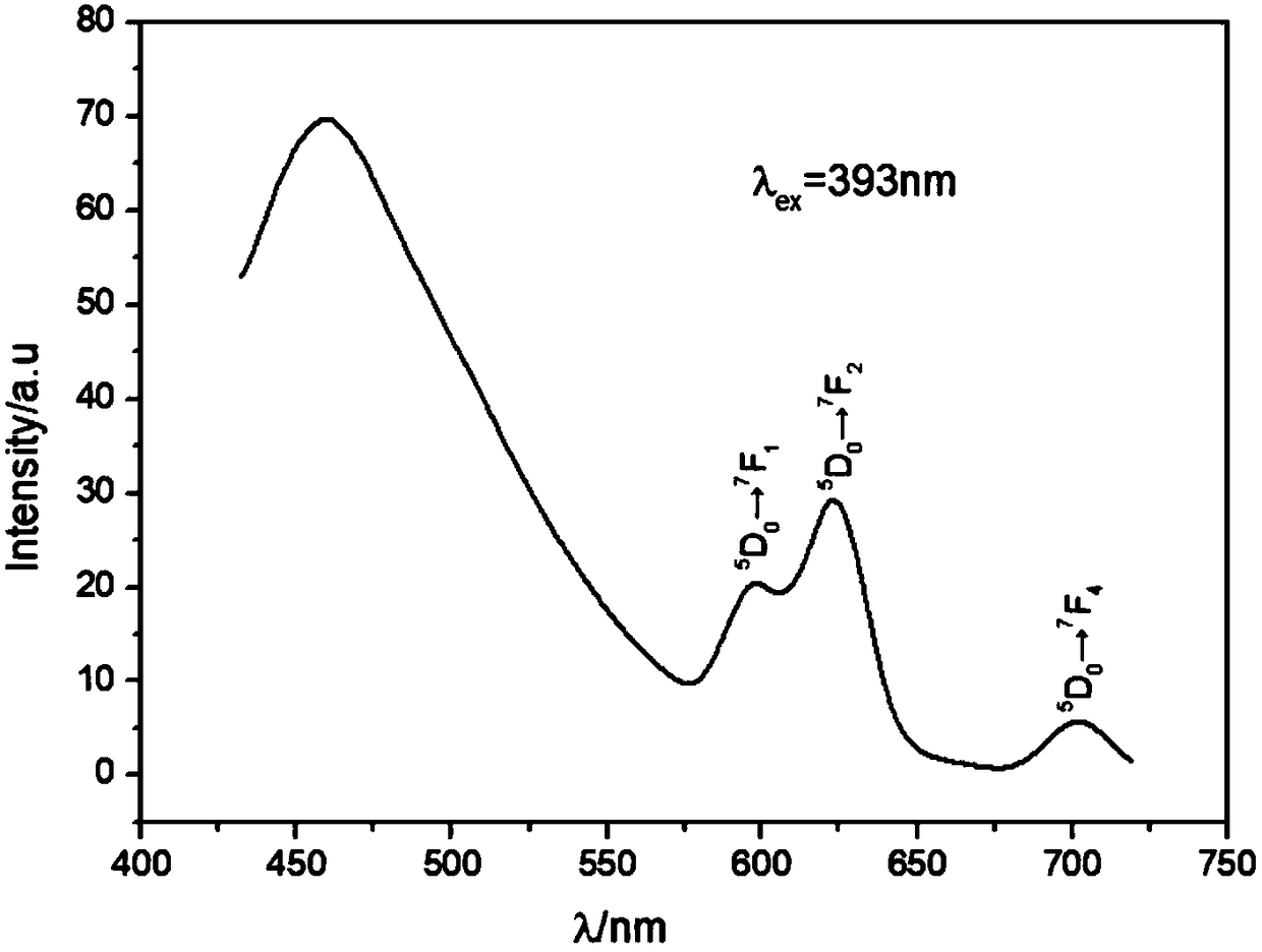 Europium ion-doped carbon quantum dot and preparation method thereof