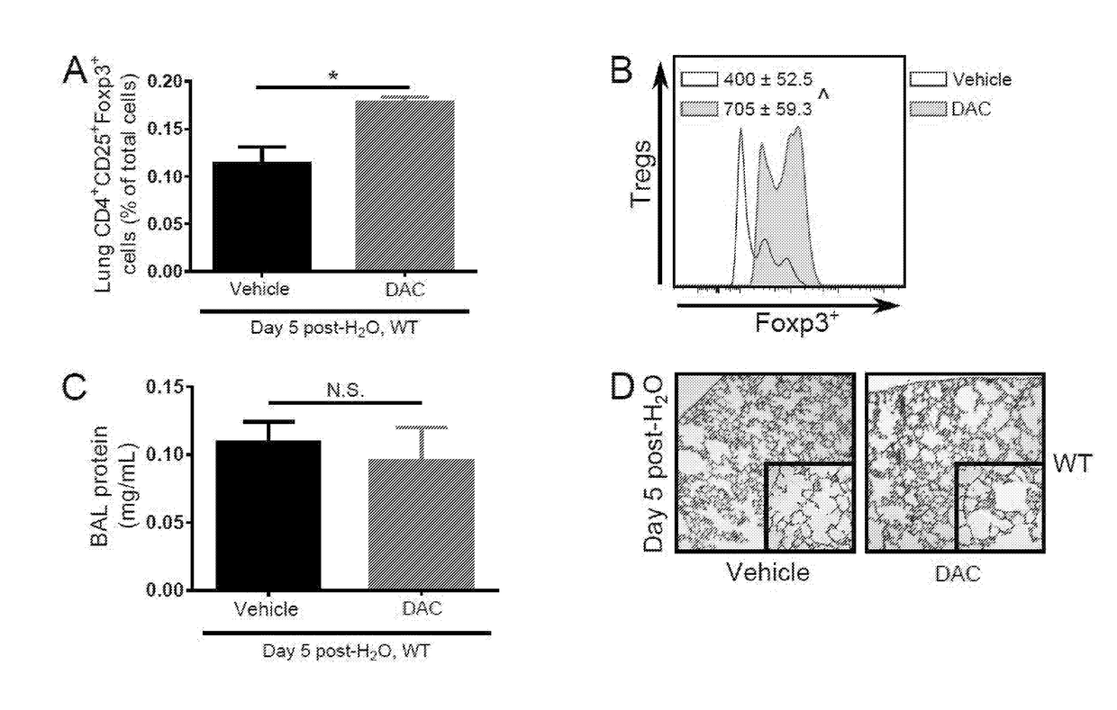 Compositions and Methods to Accelerate Resolution of Acute Lung Inflammation