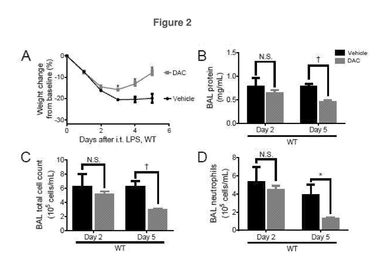 Compositions and Methods to Accelerate Resolution of Acute Lung Inflammation