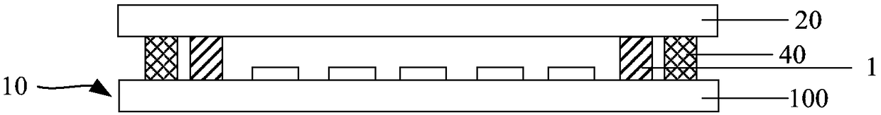 Display substrate and detection method thereof, display panel and display apparatus