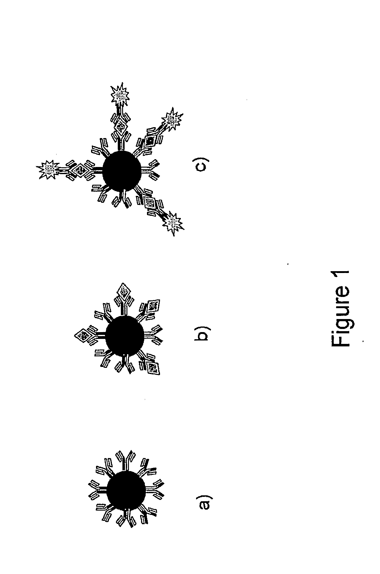 Microchannel Magneto-Immunoassay