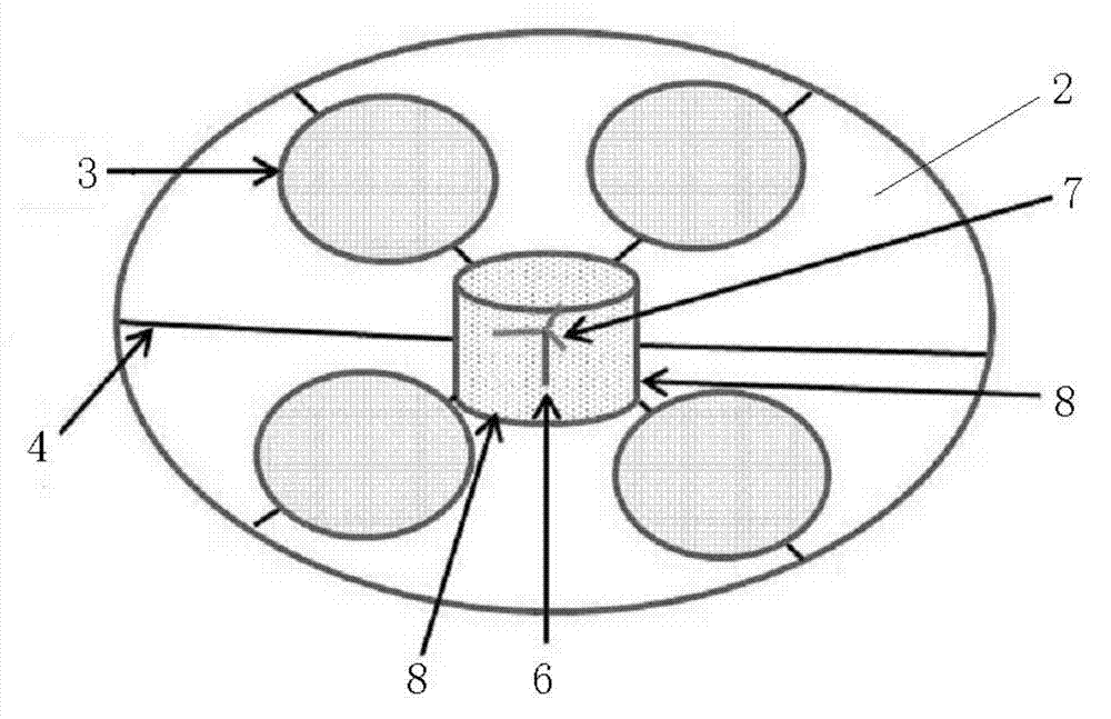 Cell co-culture device