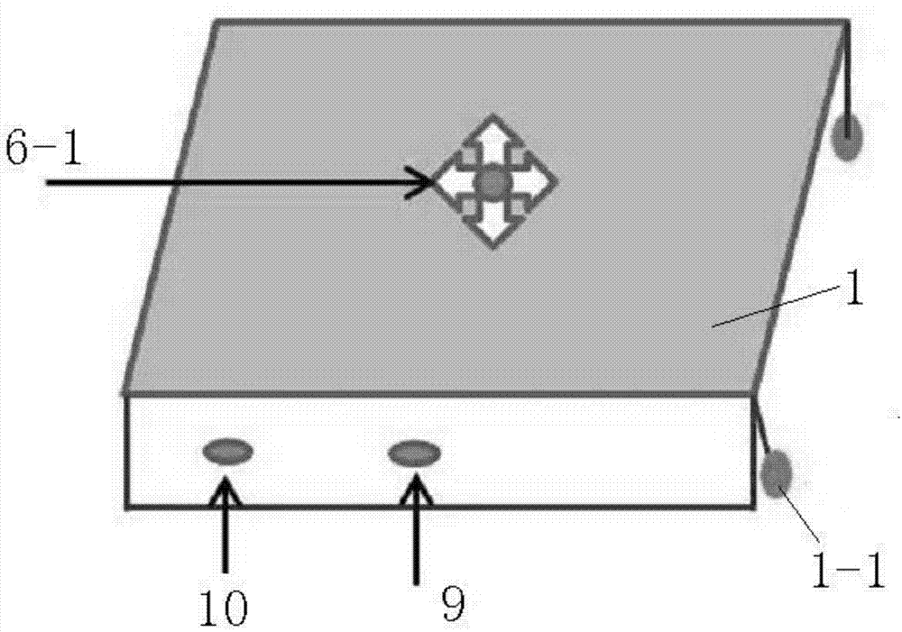 Cell co-culture device