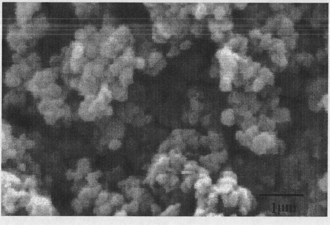 Preparation method of lithium ion battery positive material of ferric metasilicate lithium