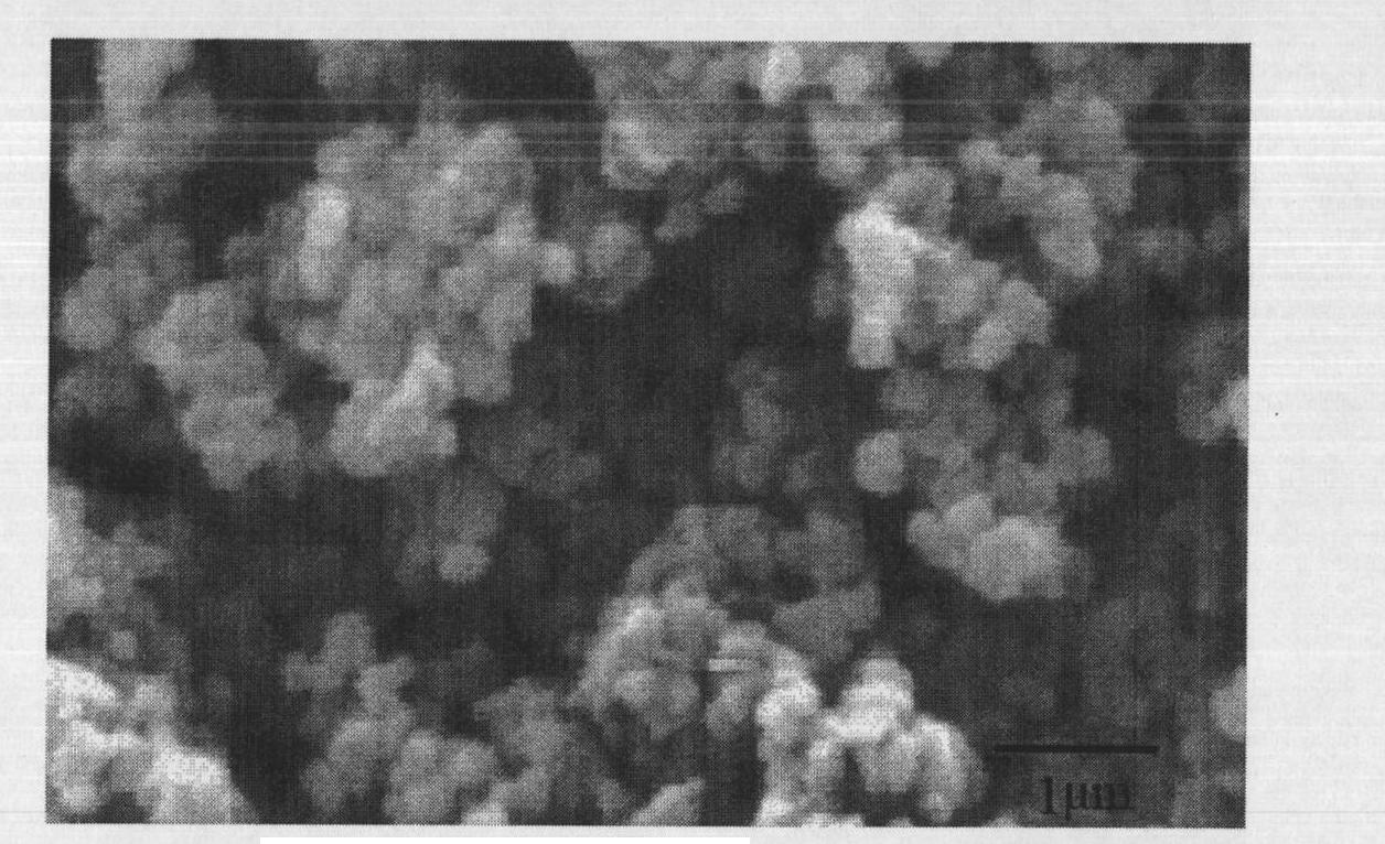 Preparation method of lithium ion battery positive material of ferric metasilicate lithium