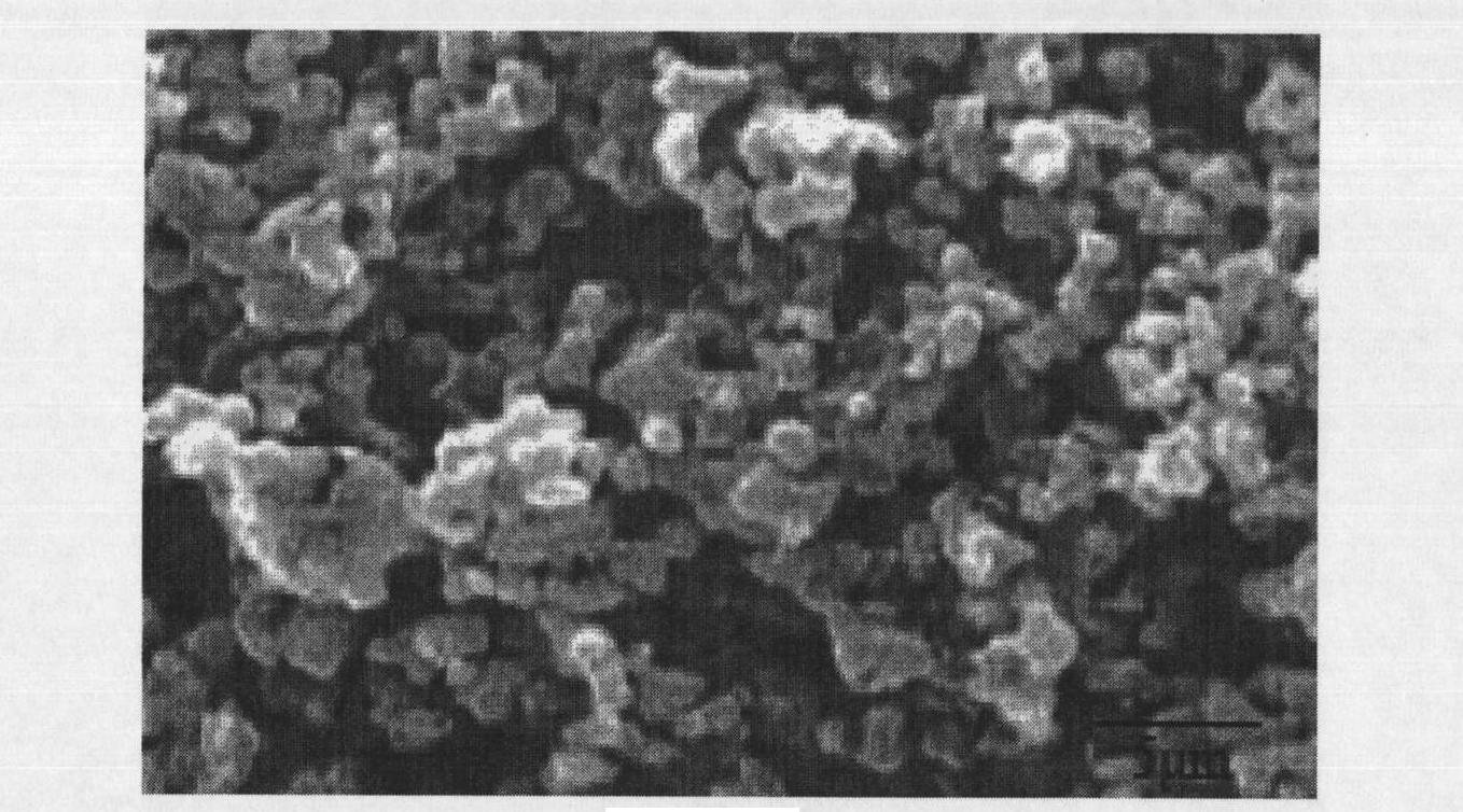 Preparation method of lithium ion battery positive material of ferric metasilicate lithium