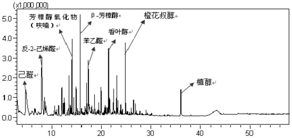 A kind of processing method of fungus-scented black tea