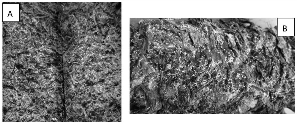 A kind of processing method of fungus-scented black tea