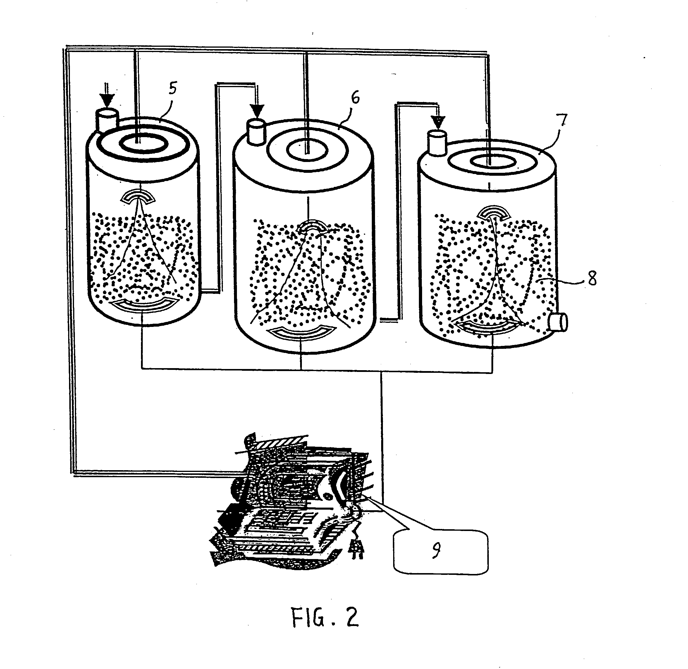 Biological compositions and methods for treatment of lymphoma