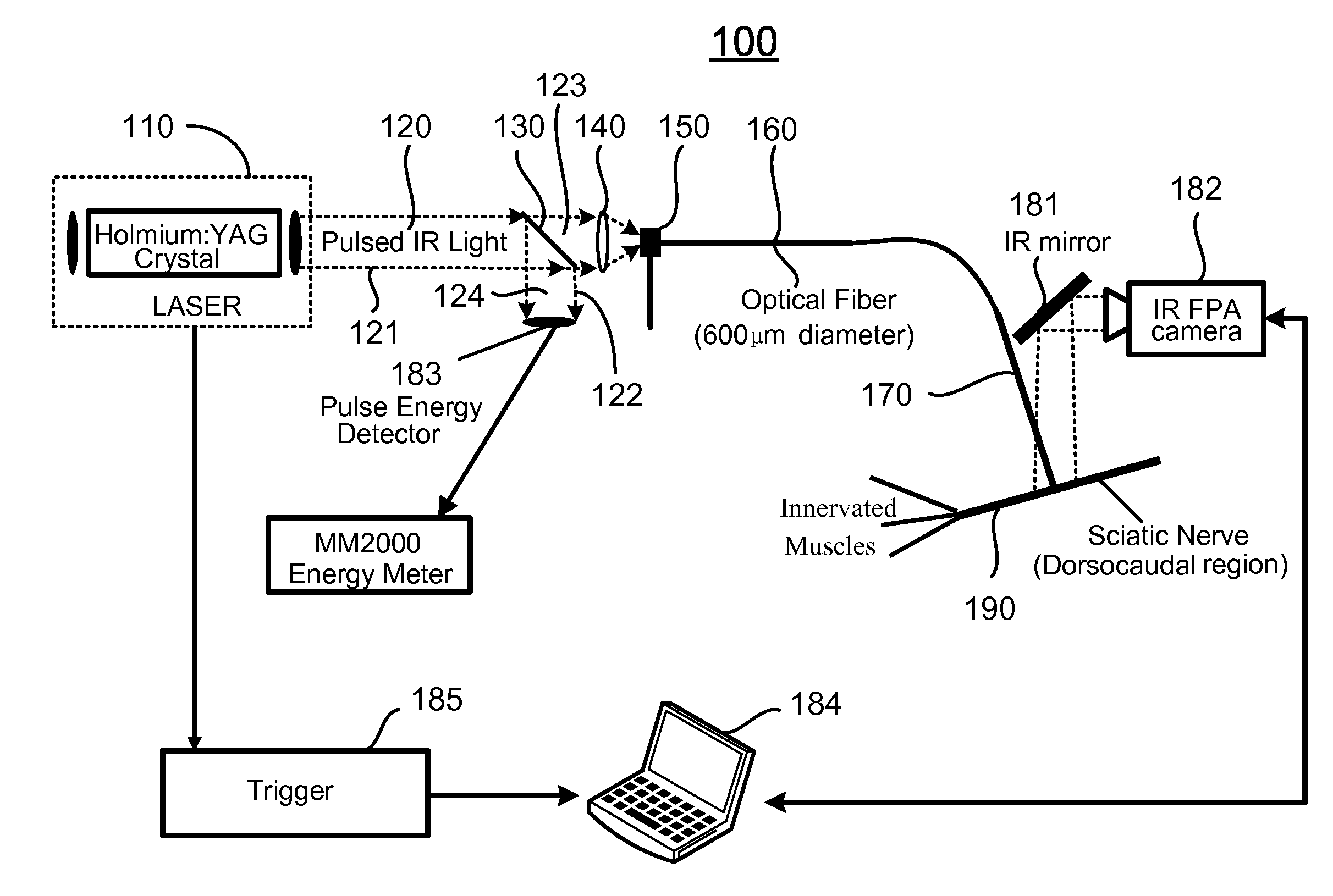 Apparatus and methods for optical stimulation of neural tissues