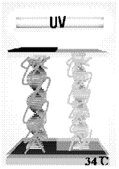 Method for manufacturing color liquid crystal films, color liquid crystal film and display device