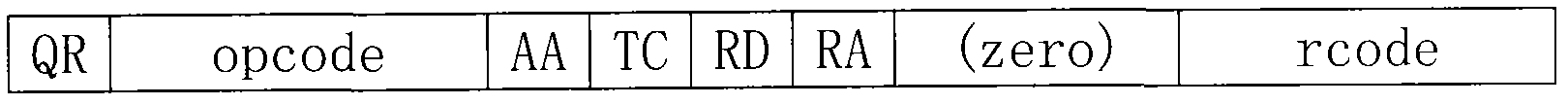 Domain name system (DNS) message processing method and network safety equipment