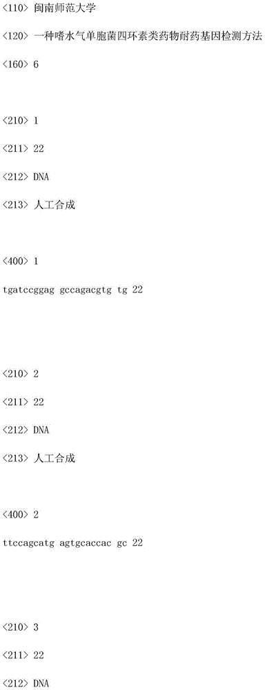 Aeromonas hydrophila tetracycline drug-resistance gene detection method