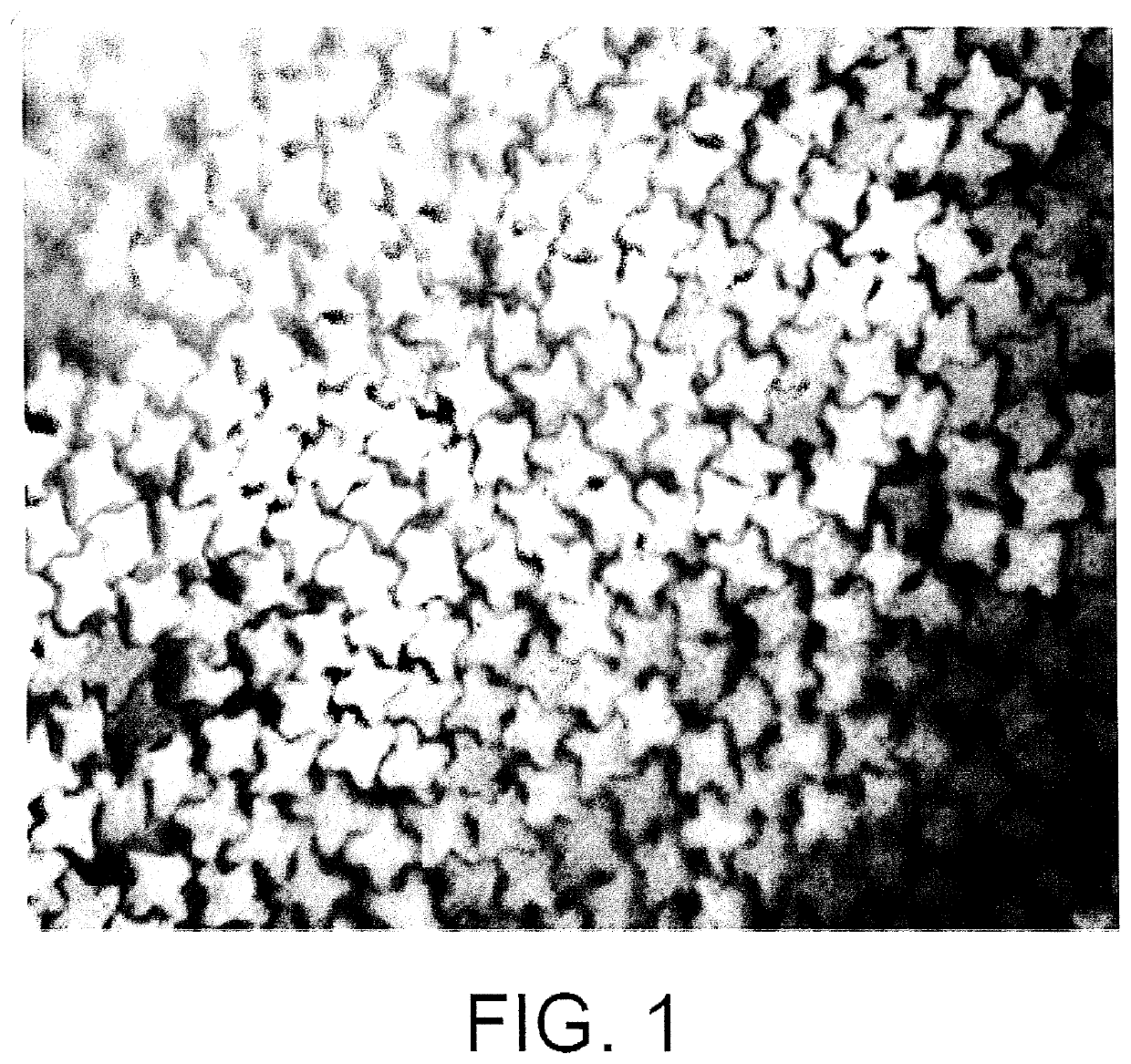 Antibacterial Fibers and Materials