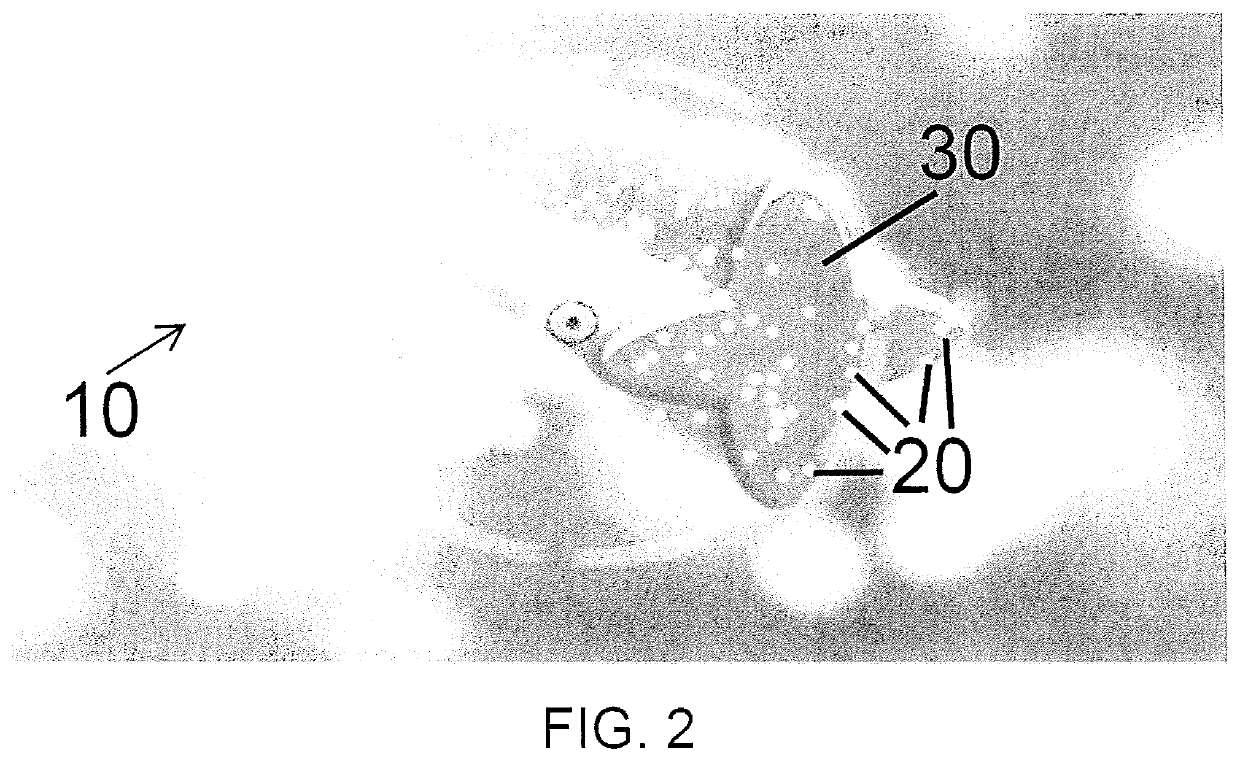 Antibacterial Fibers and Materials