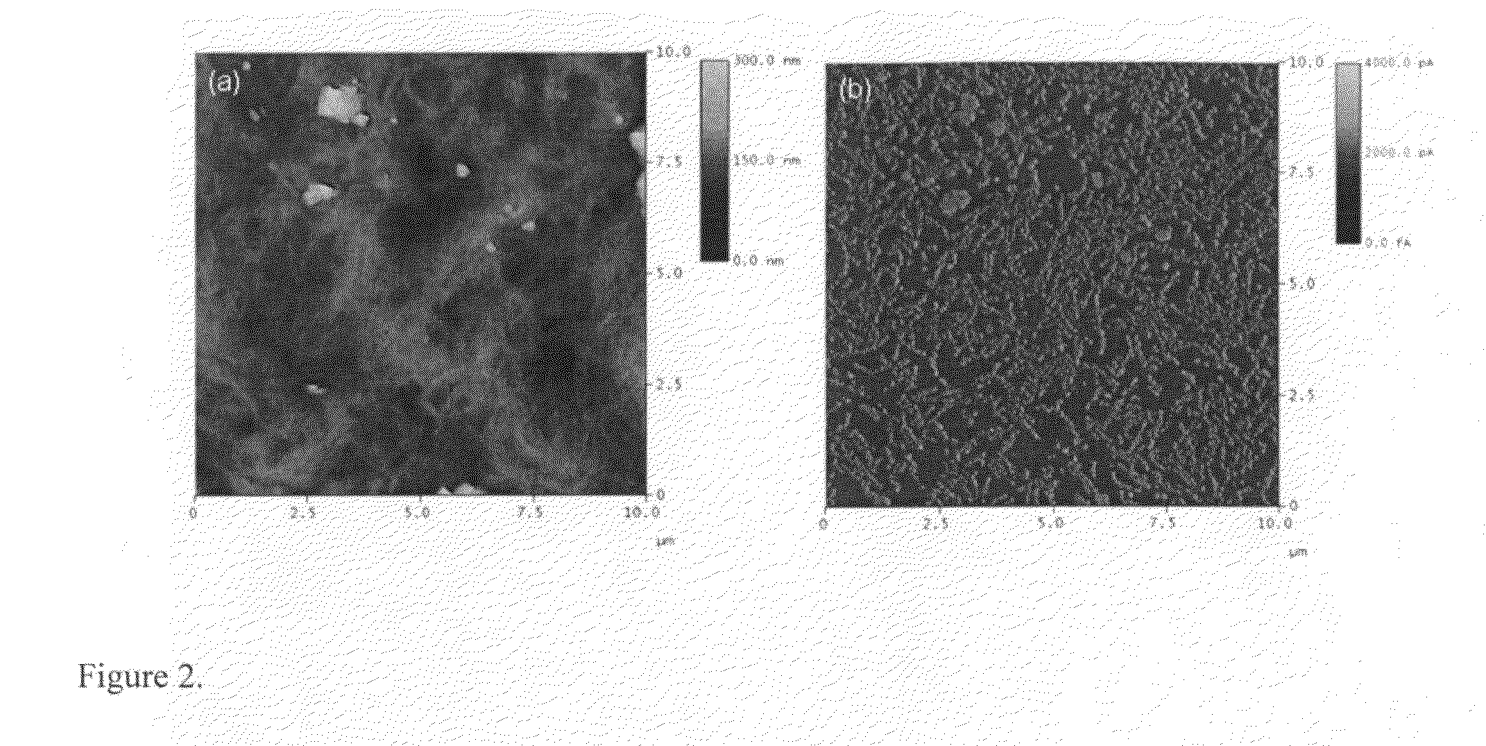 Metallized nanotube polymer composite (MNPC) and methods for making same