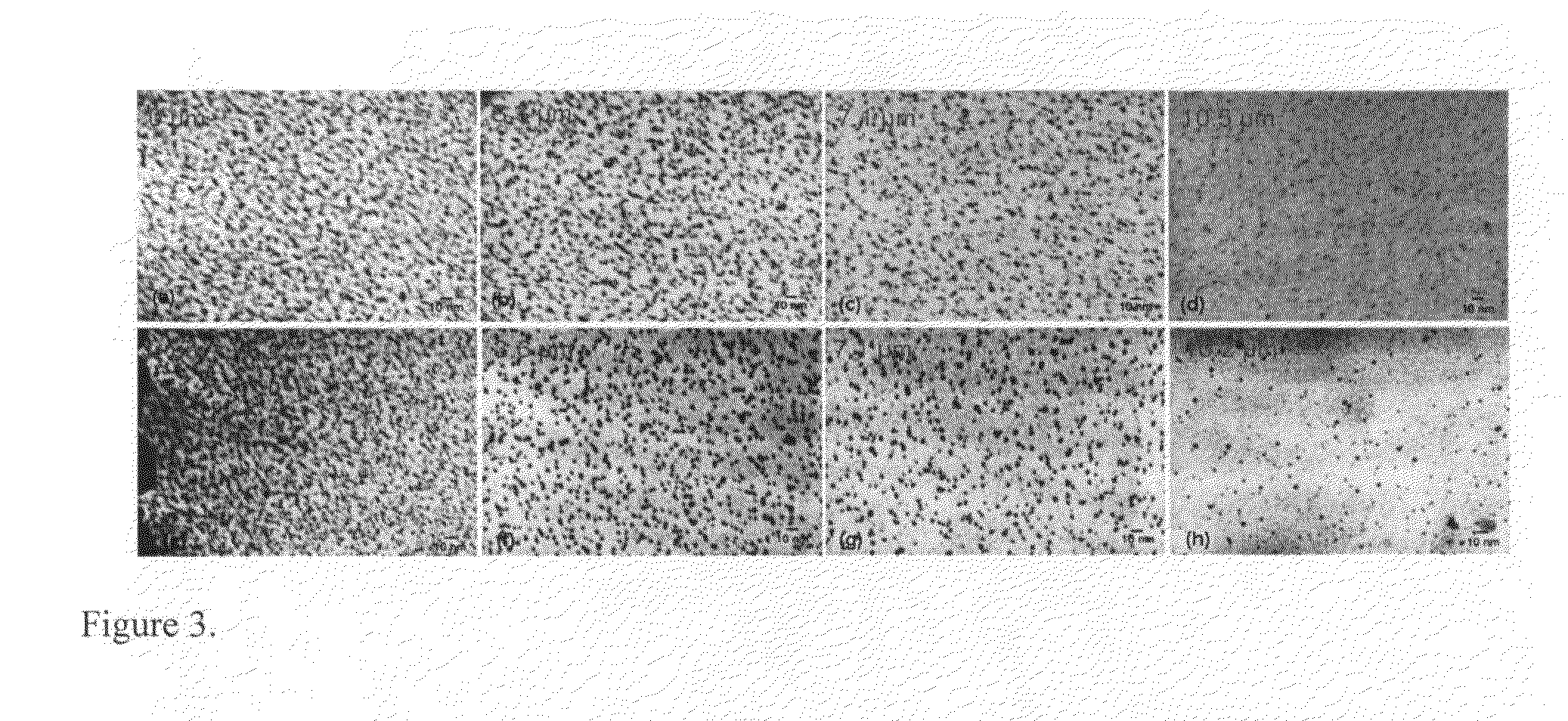 Metallized nanotube polymer composite (MNPC) and methods for making same