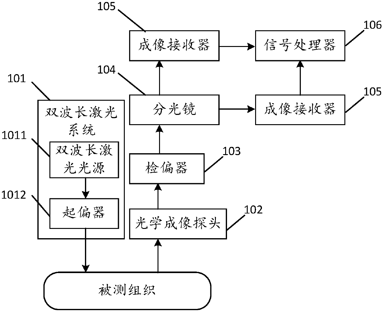 Multiparameter imaging detection method and apparatus for microcirculation