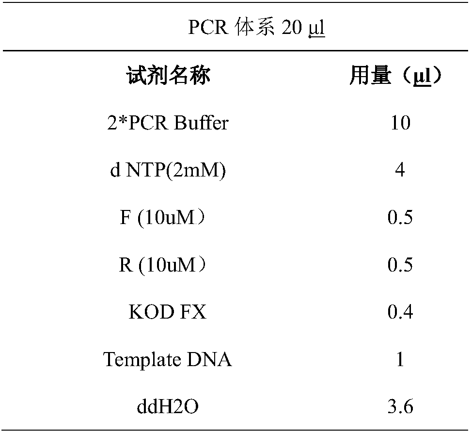 Primers, kit and method for detecting mutation of intron 4 in gene ABCG8