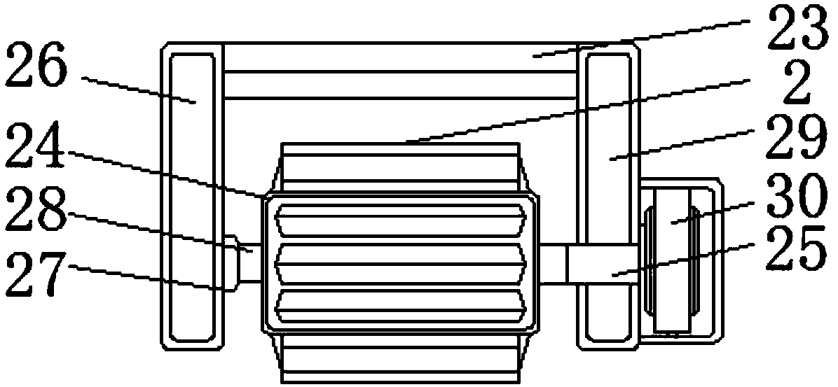 Bait feeding device