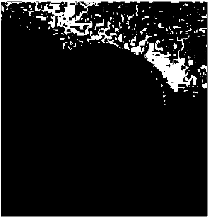 Sm-Eu-Dy tri-rare-earth ion tantalate and preparation method and application thereof