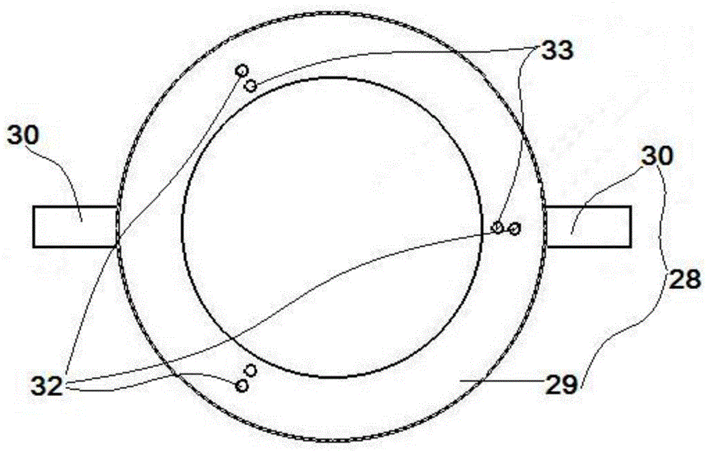 Dynamic testing apparatus and testing method for high-pressure hydrogen permeation