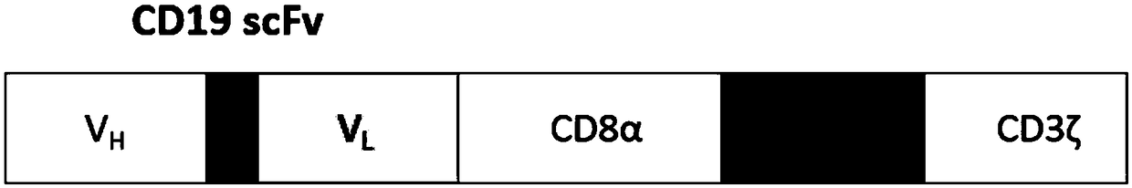 SiRNA for knocking down human IL-15, CD19 CAR expression vector, CAR-T cell and construction method and application of siRNA