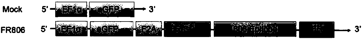 Fusion protein and applications thereof