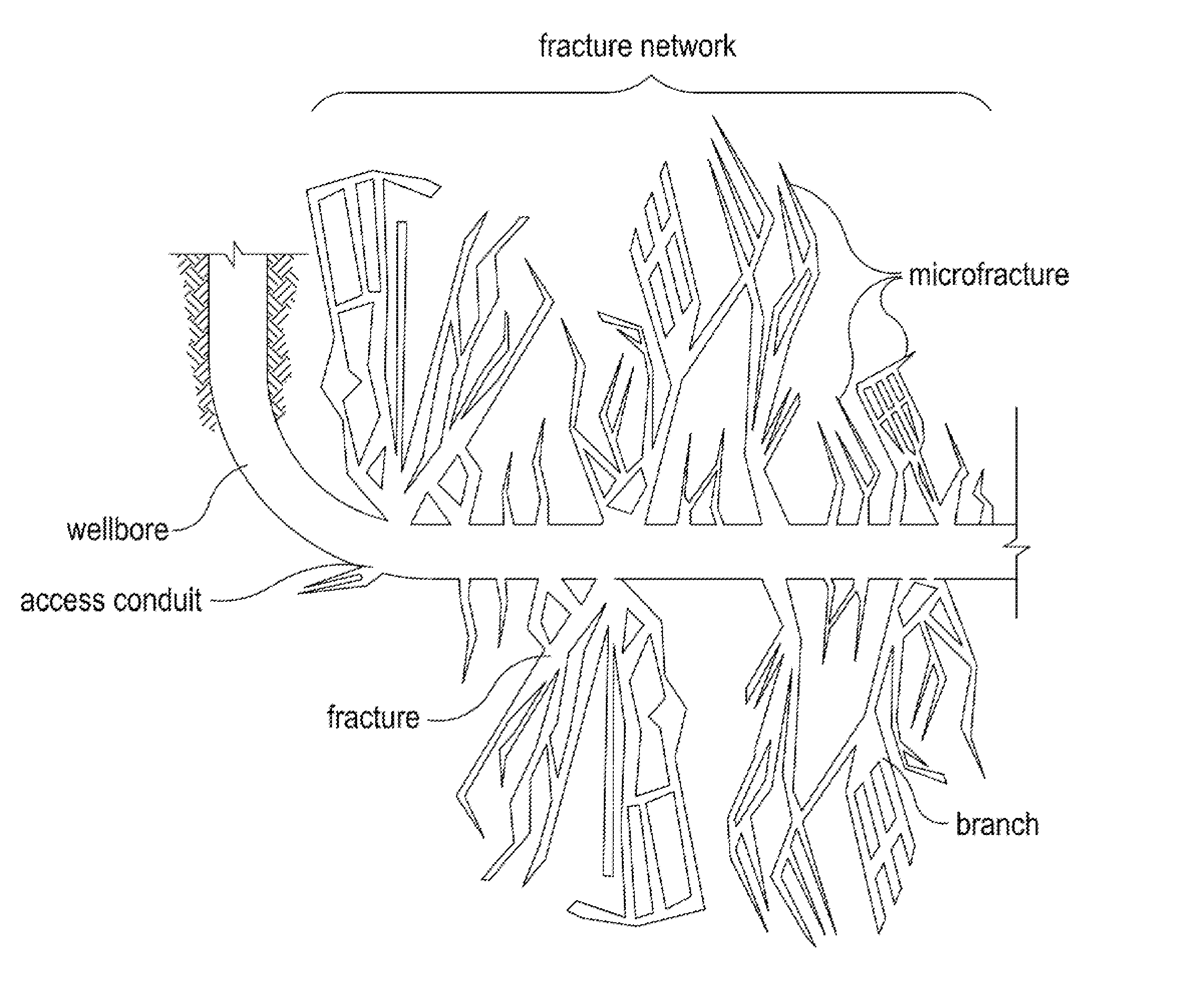 Propping Complex Fracture Networks in Tight Formations