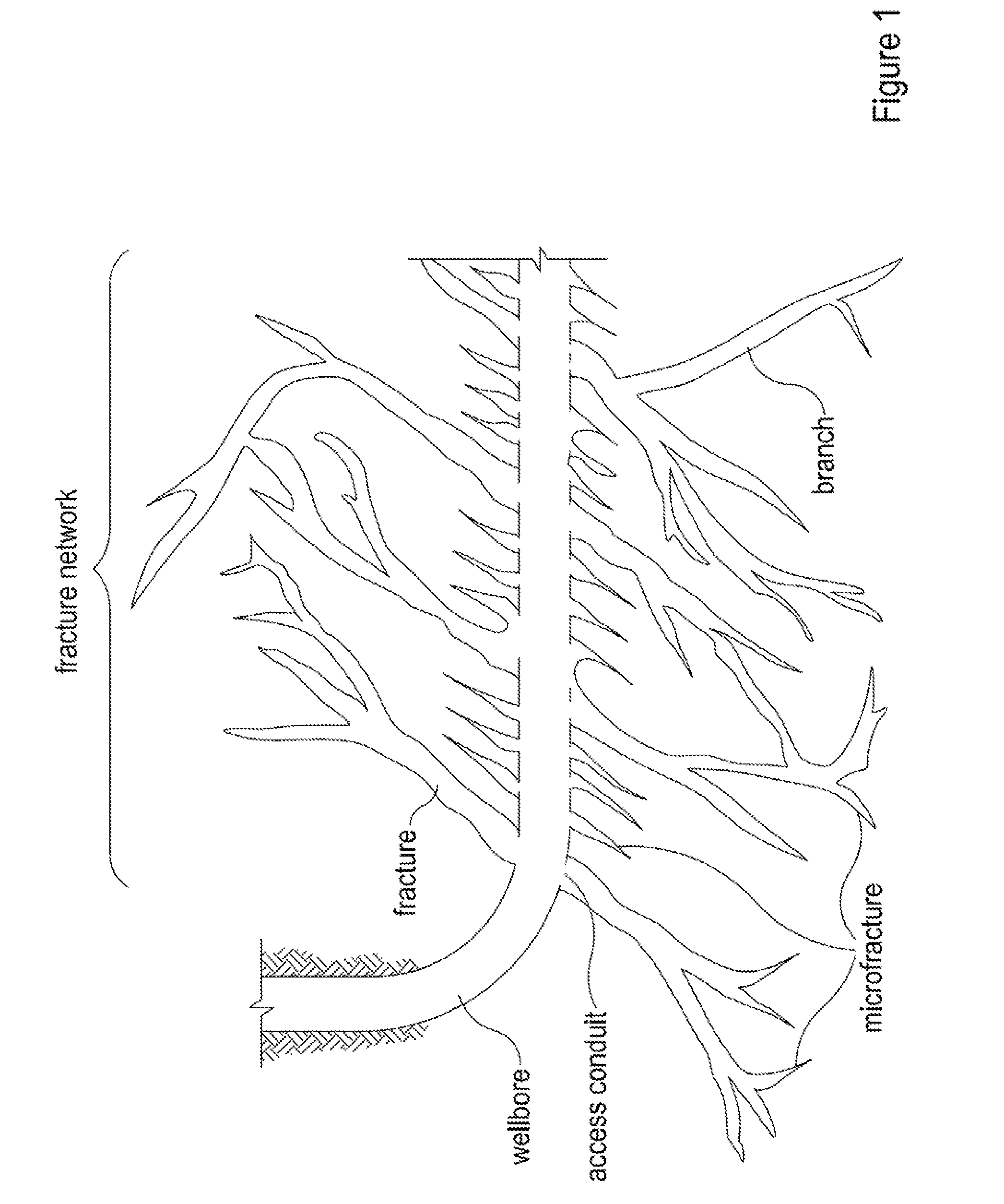 Propping Complex Fracture Networks in Tight Formations