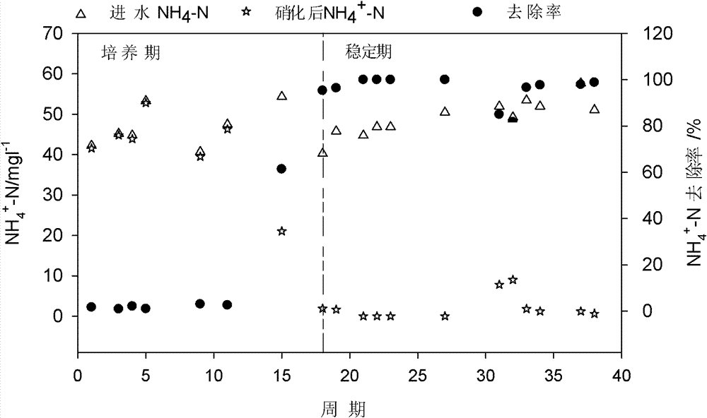 Method for short-range denitrification biological treatment of high-salt wastewater