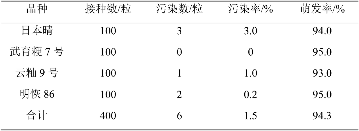 Method for disinfecting rice seeds