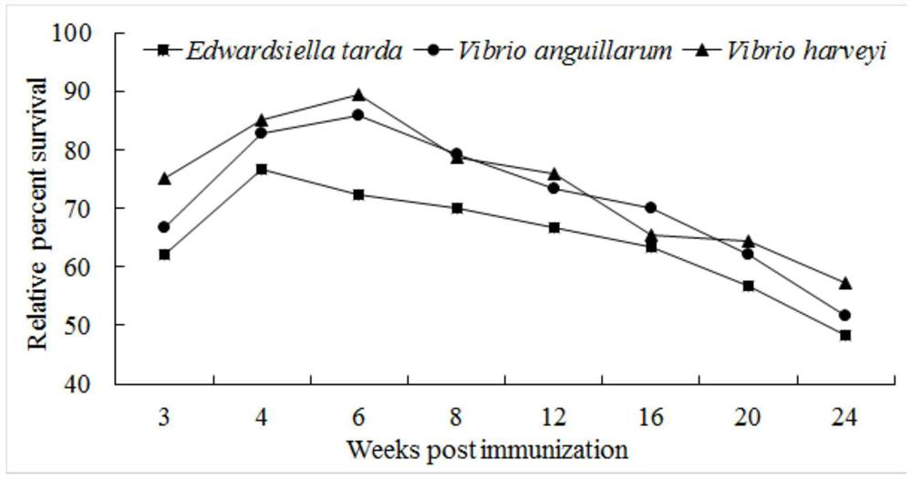 Triple inactivated vaccine, and preparation and application thereof