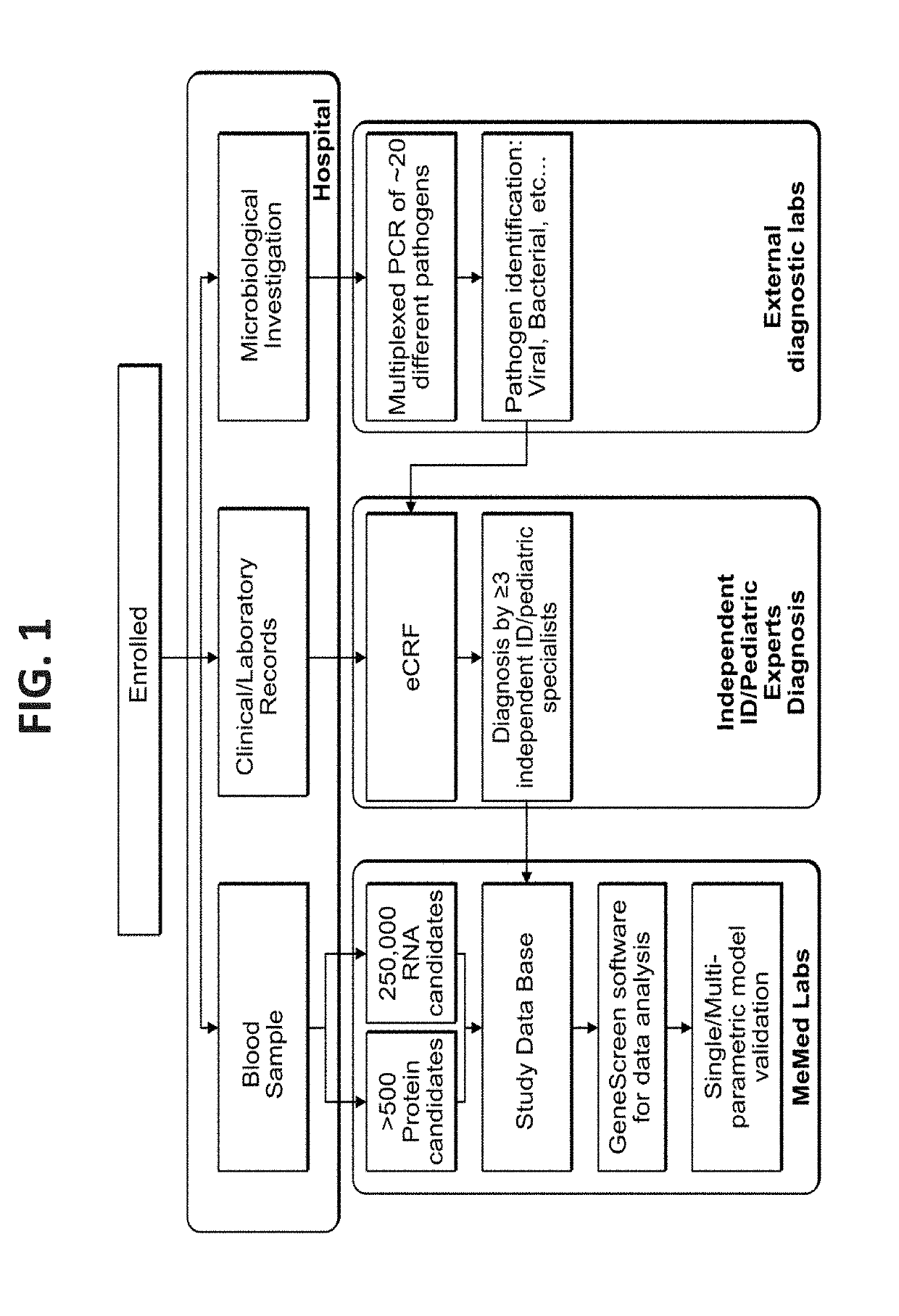 RNA determinants for distinguishing between bacterial and viral infections