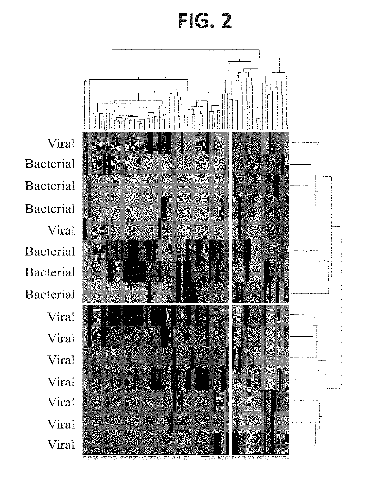 RNA determinants for distinguishing between bacterial and viral infections